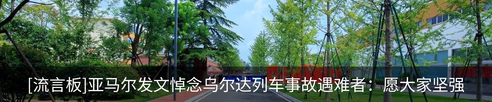 新闻动态